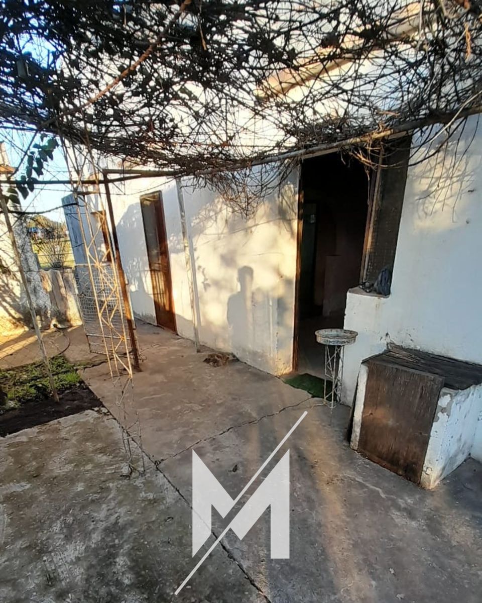 L. Ortega · Colón — foto 6