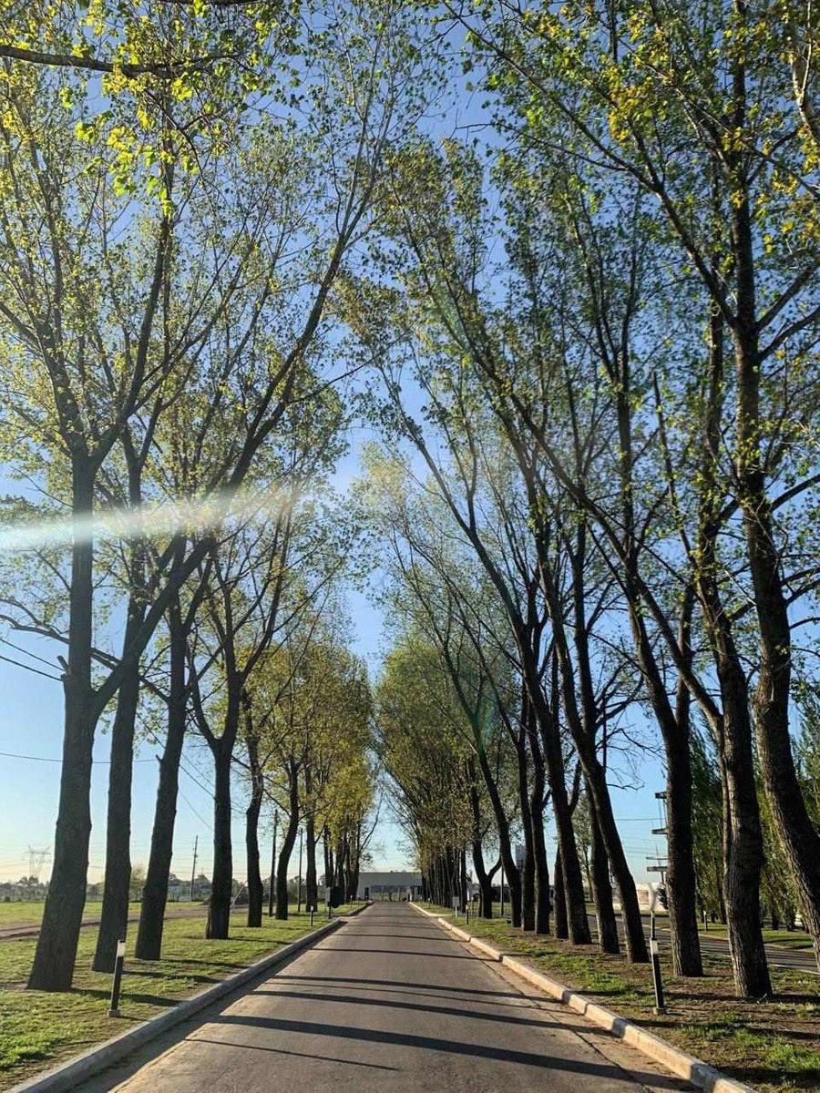 Calle Caceres 100, Canning, Esteban Echeverría, Bs.As. G.B.A. Sur · Ezeiza — foto 4