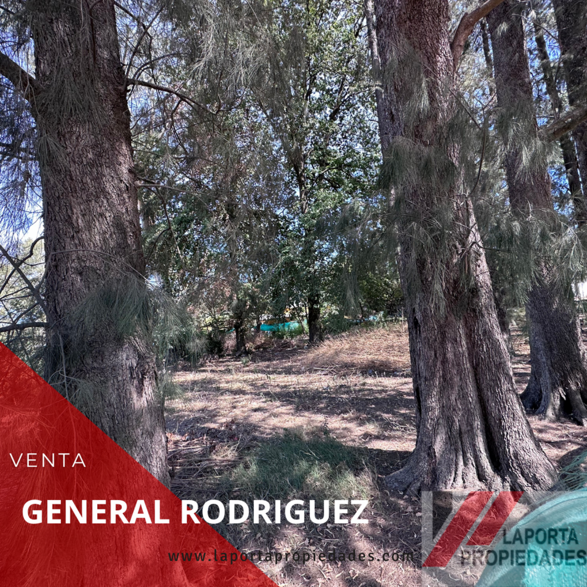Escalada · General Rodriguez — foto 3