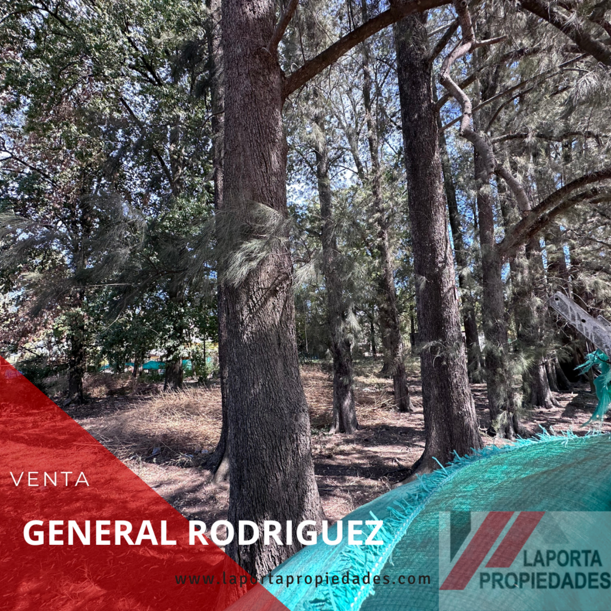 Escalada · General Rodriguez — foto 4