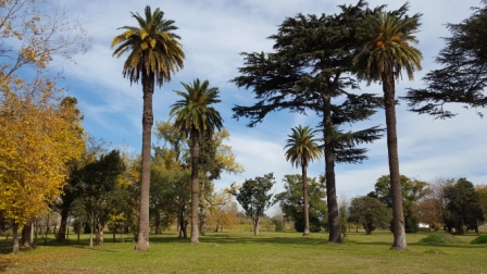 Saint Joseph L 023 · Almirante Brown — foto 3