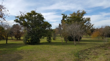 Saint Joseph L 023 · Almirante Brown — foto 6