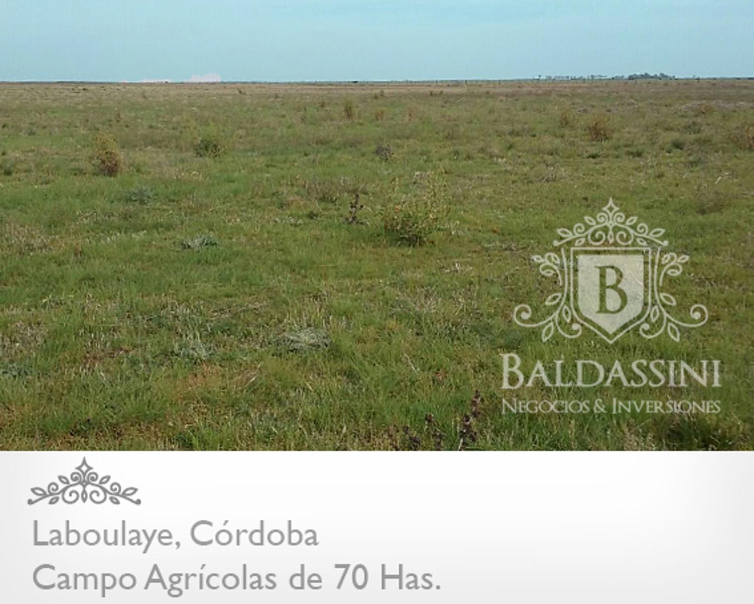 CAMPO AGRÍCOLA DE 70 HAS. PARTE DE UN CONDOMINIO DE 222 HAS. BUENOS RINDES DE SOJA -- CERCA DE LA RUTA 7 - CAMPO SIN SALITRE - SE VENDEN LAS 222 HAS.
