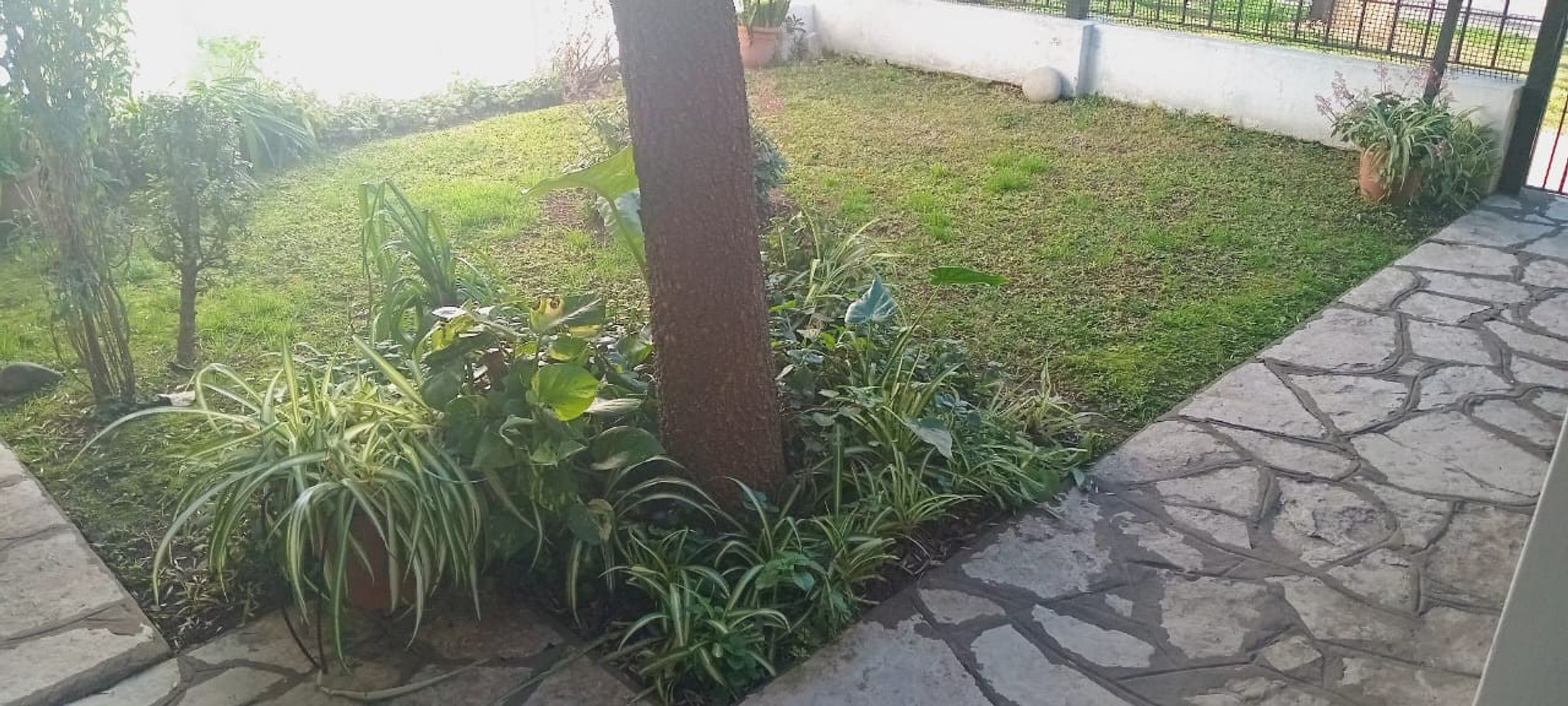 Serrano 1020 · San Miguel — foto 25
