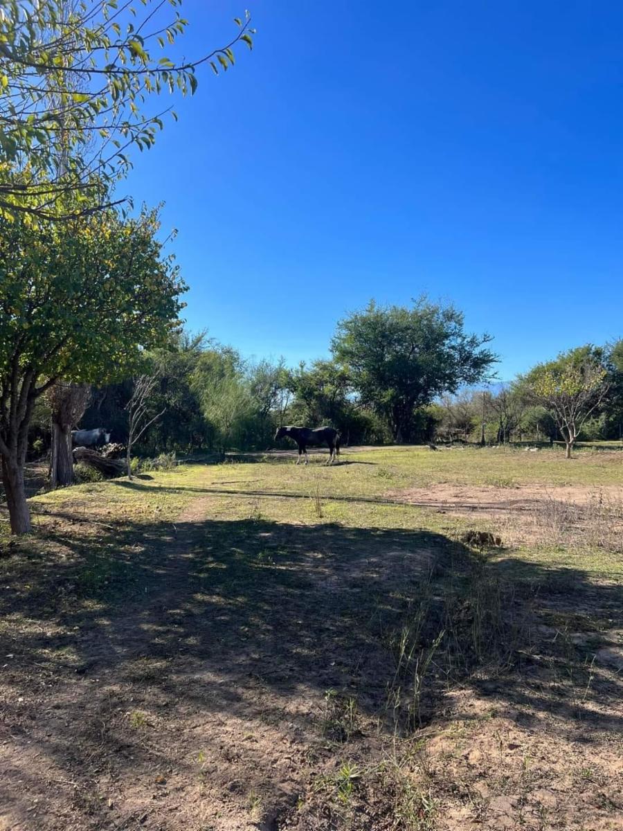 SANTA ROSA DEL CONLARA, SAN LUIS · Junín — foto 14