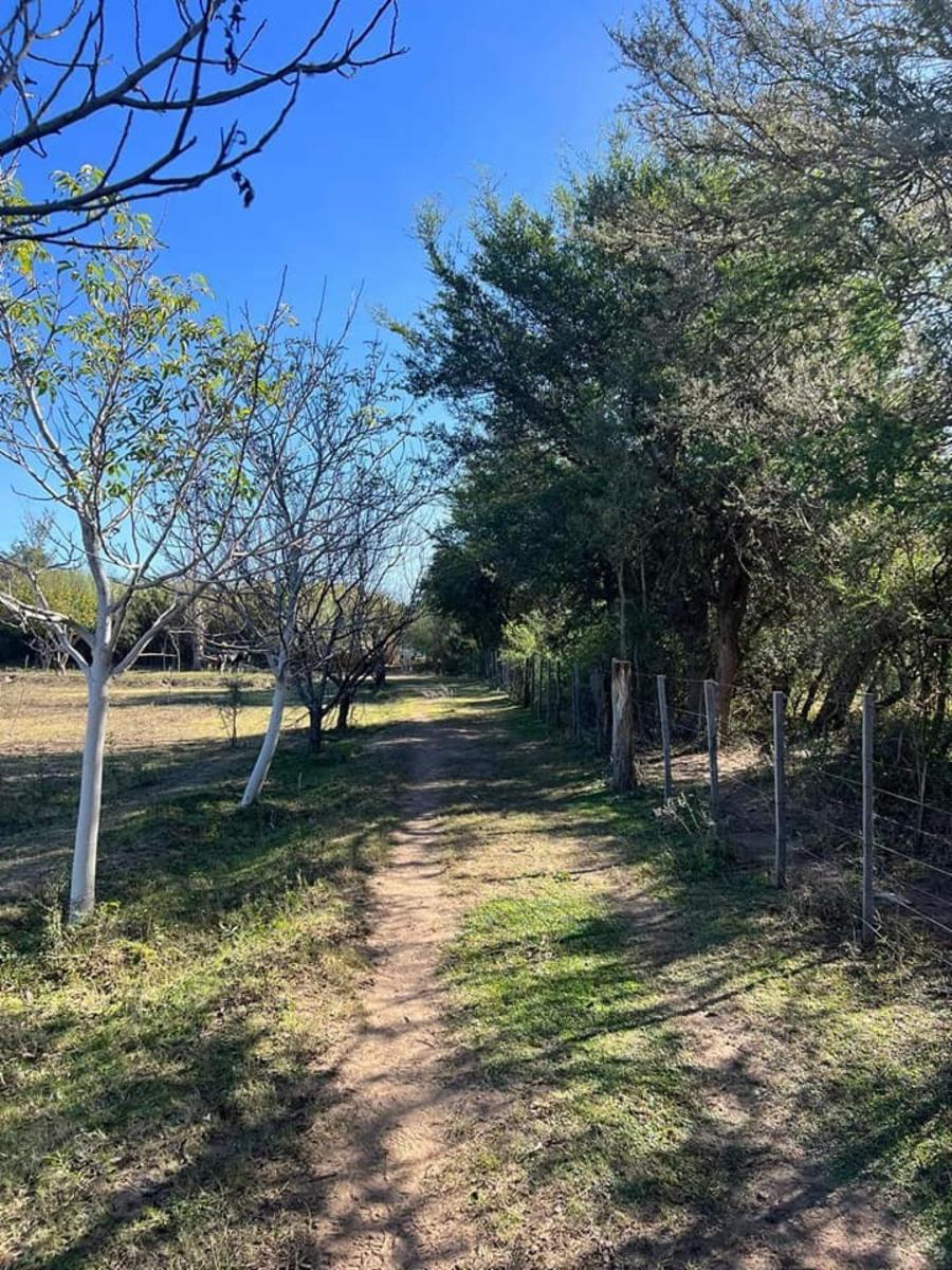SANTA ROSA DEL CONLARA, SAN LUIS · Junín — foto 19
