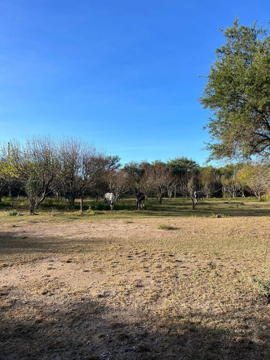 SANTA ROSA DEL CONLARA, SAN LUIS · Junín — foto 26
