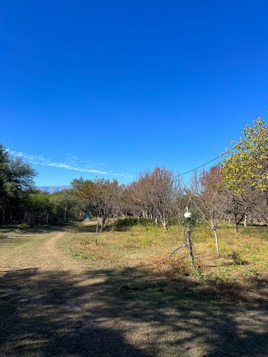 SANTA ROSA DEL CONLARA, SAN LUIS · Junín — foto 27