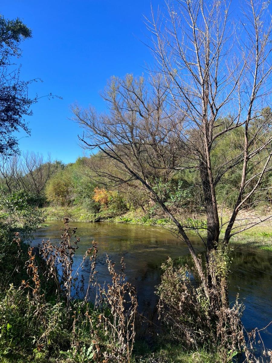 SANTA ROSA DEL CONLARA, SAN LUIS · Junín — foto 8