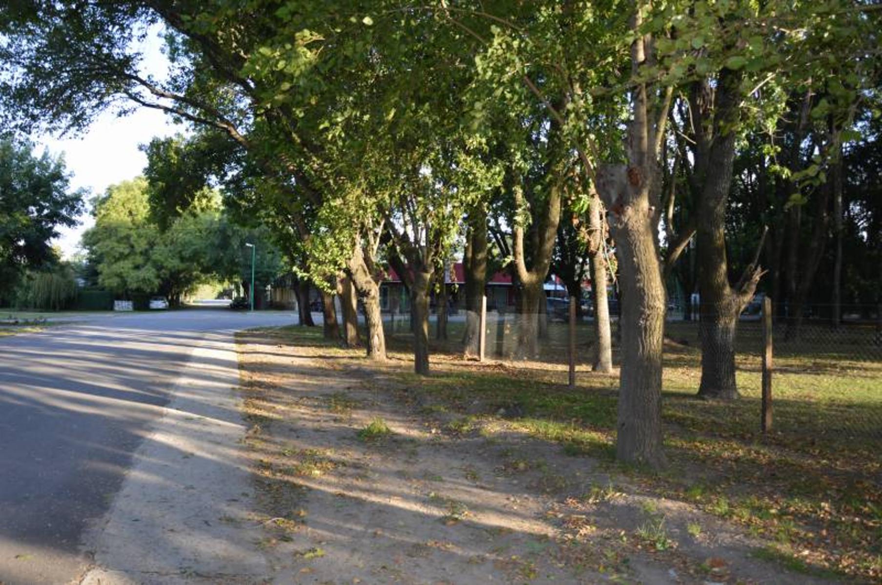 Calle 62 N°500 e/ 139 y 141 · General Belgrano — foto 3