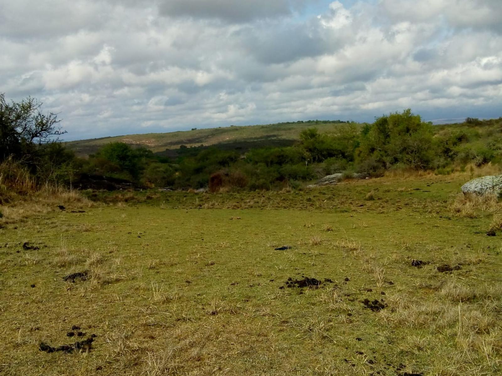 Mzna. 163 Lote 6 · Punilla — foto 11