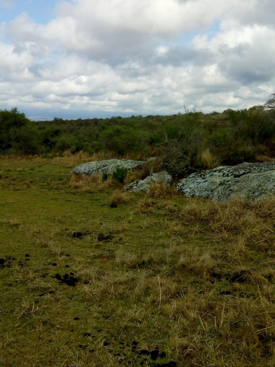 Mzna. 163 Lote 6 · Punilla — foto 3