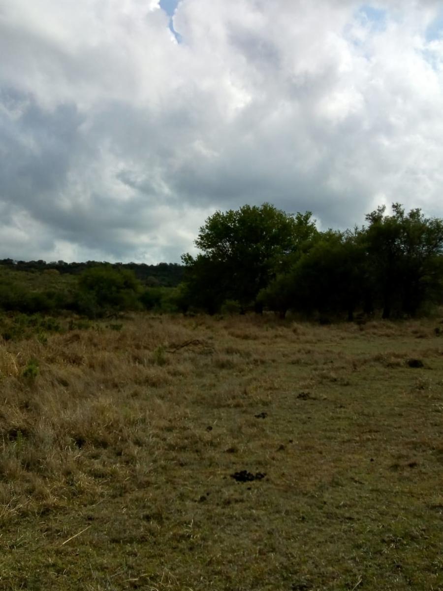Mzna. 163 Lote 6 · Punilla — foto 5