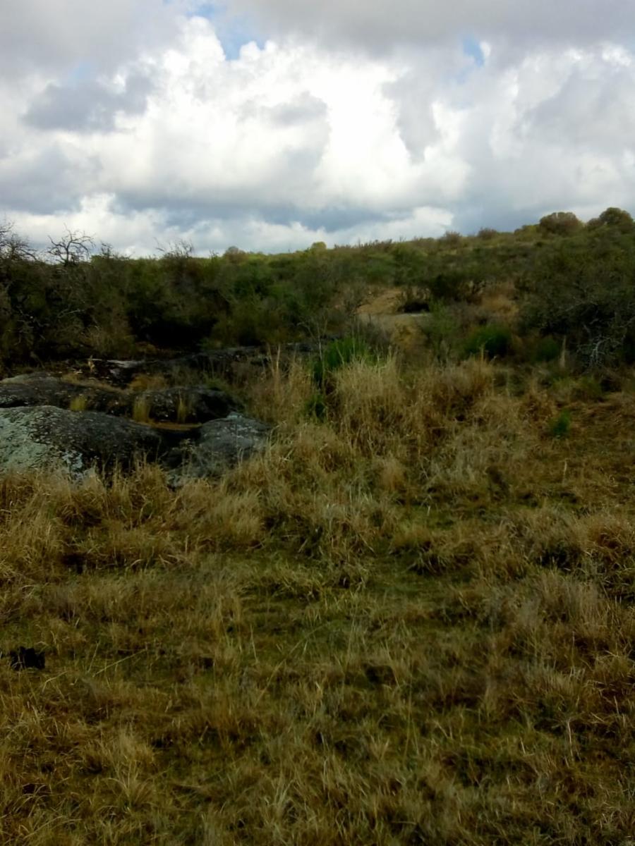 Mzna. 163 Lote 6 · Punilla — foto 7