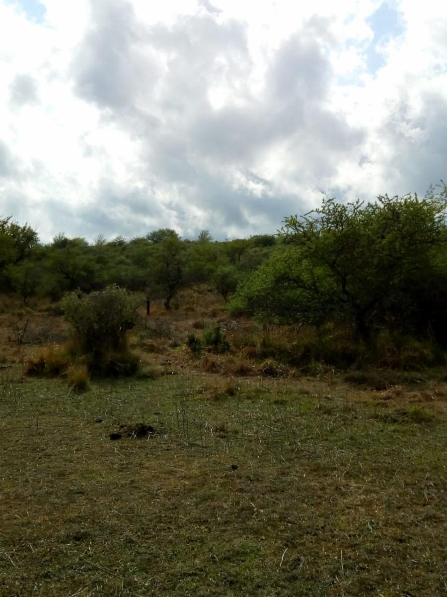 Mzna. 163 Lote 6 · Punilla — foto 8