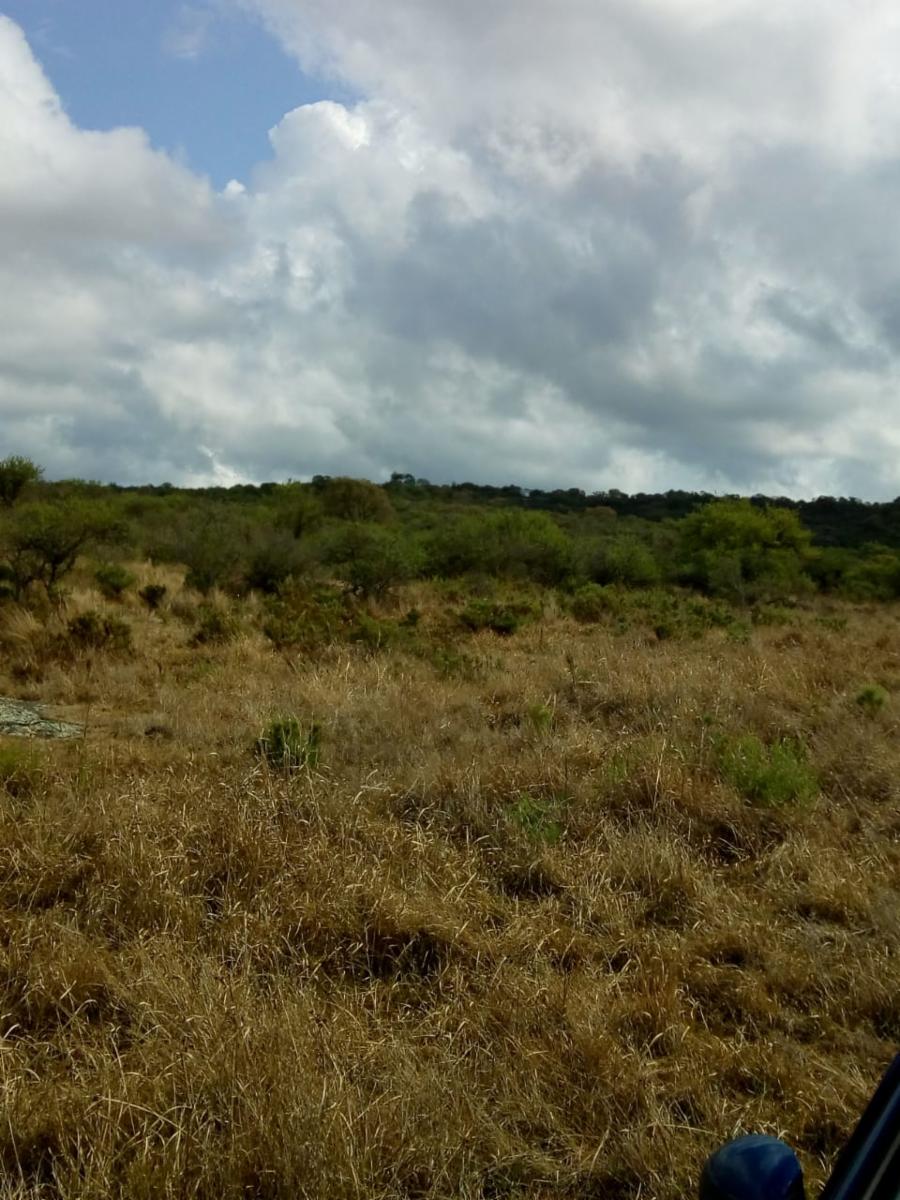 Mzna. 163 Lote 6 · Punilla — foto 9