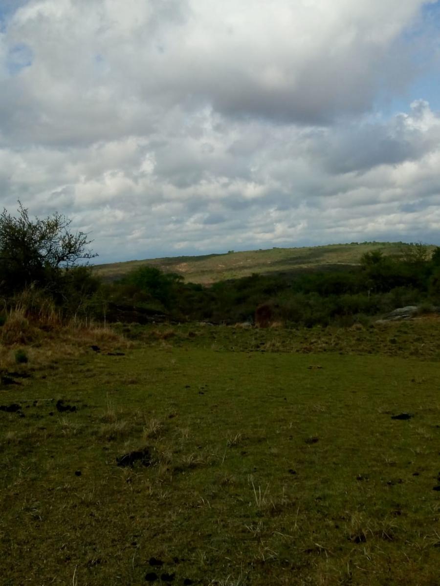 Mzna. 163 Lote 6 · Punilla — foto 10