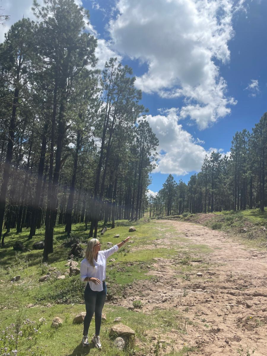 EN VENTA DOS LOTES DE 2000 M2 EN EL PINAR, TAFI DEL VALLE
