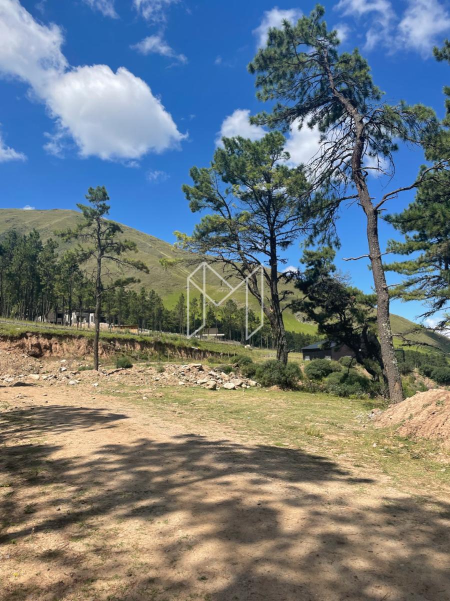 EN VENTA DOS LOTES DE 2000 M2 EN EL PINAR, TAFI DEL VALLE · Tafí del Valle — foto 3