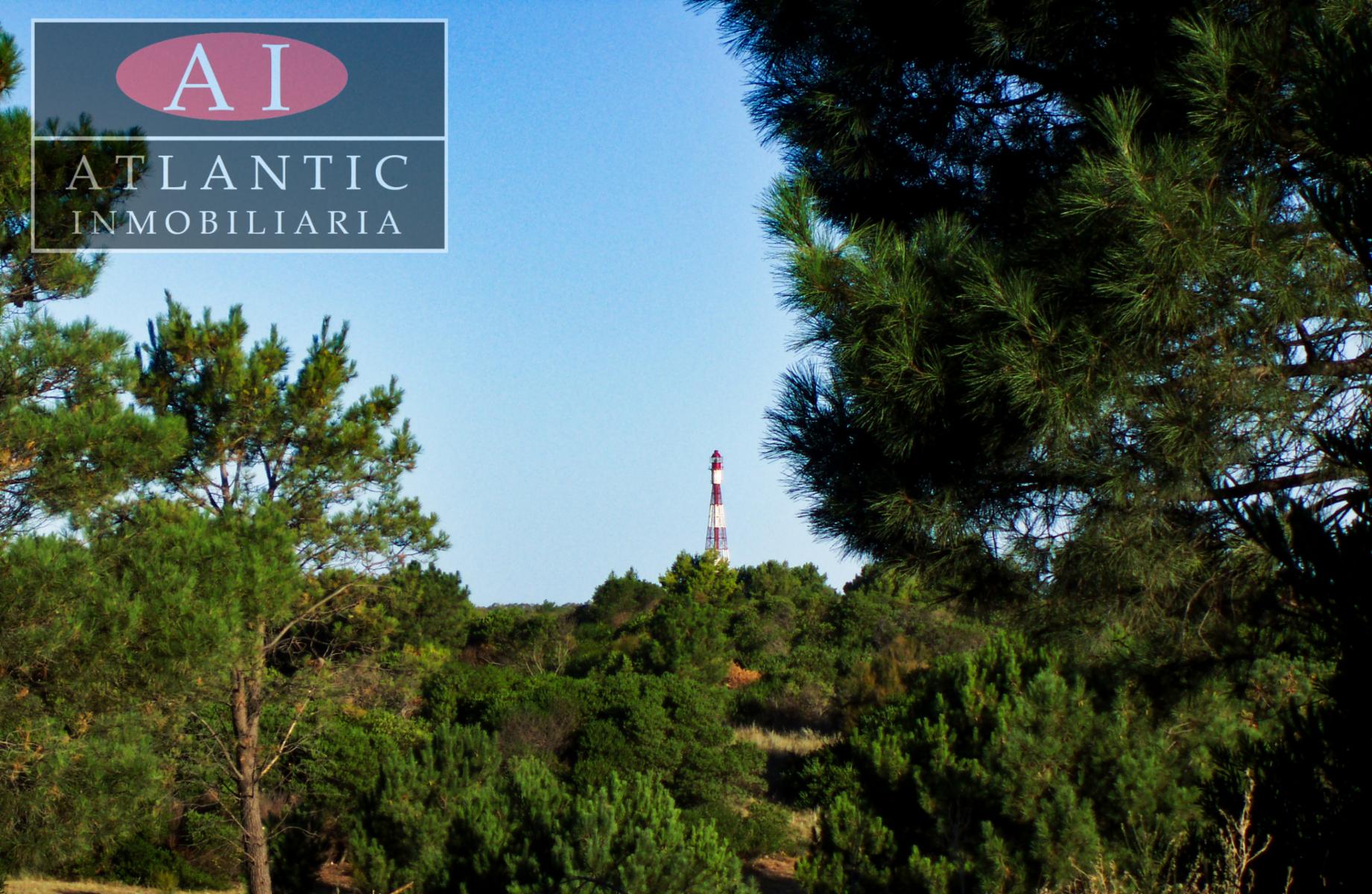 Los Zorzales 500 · Monte Hermoso — foto 8