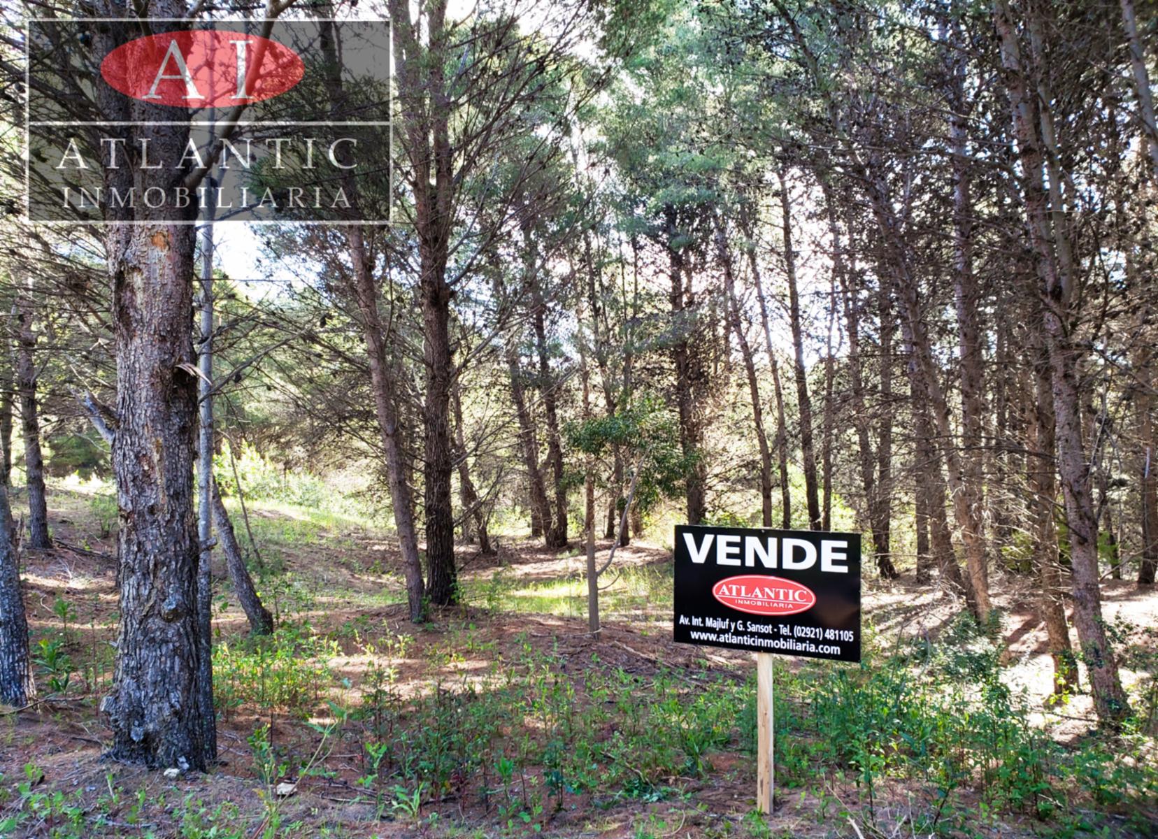 Los Zorzales 500 · Monte Hermoso — foto 9