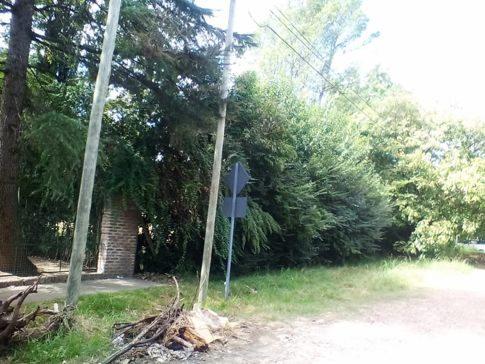 Yapeyú · Moreno — foto 3