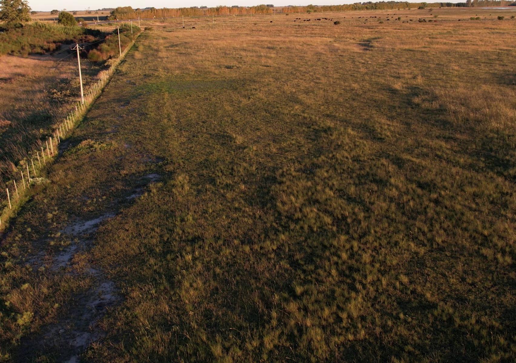 CAMPO en Alquiler en Punta Indio