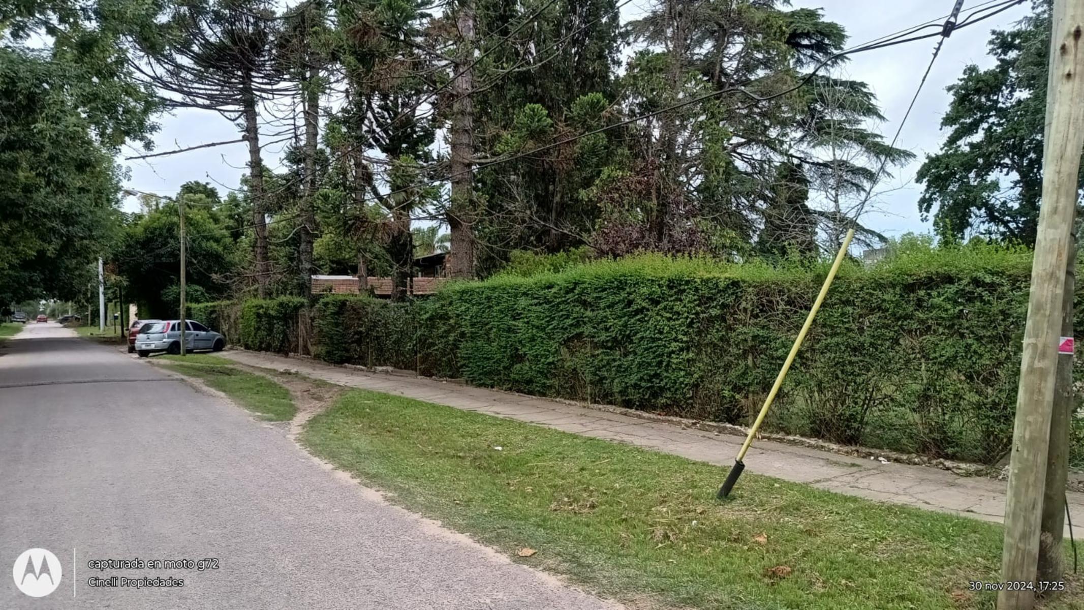 juan Díaz de Solís · Moreno — foto 47
