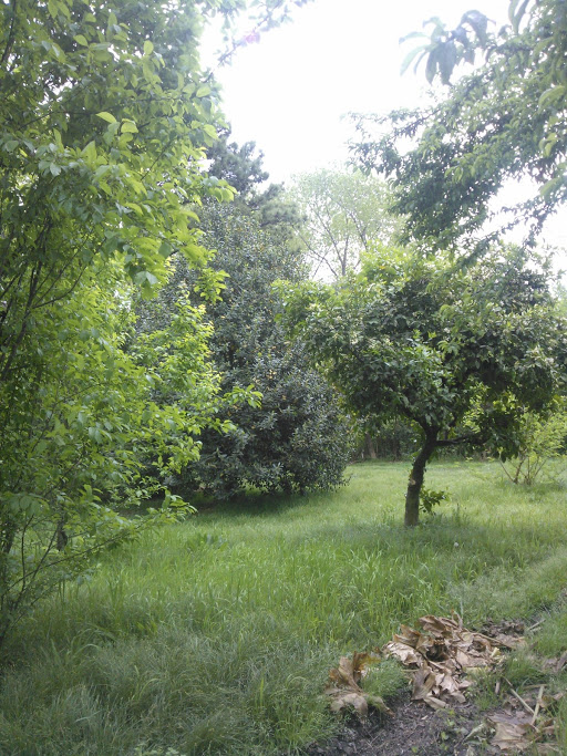 Uruguay 1400 · Pilar — foto 3