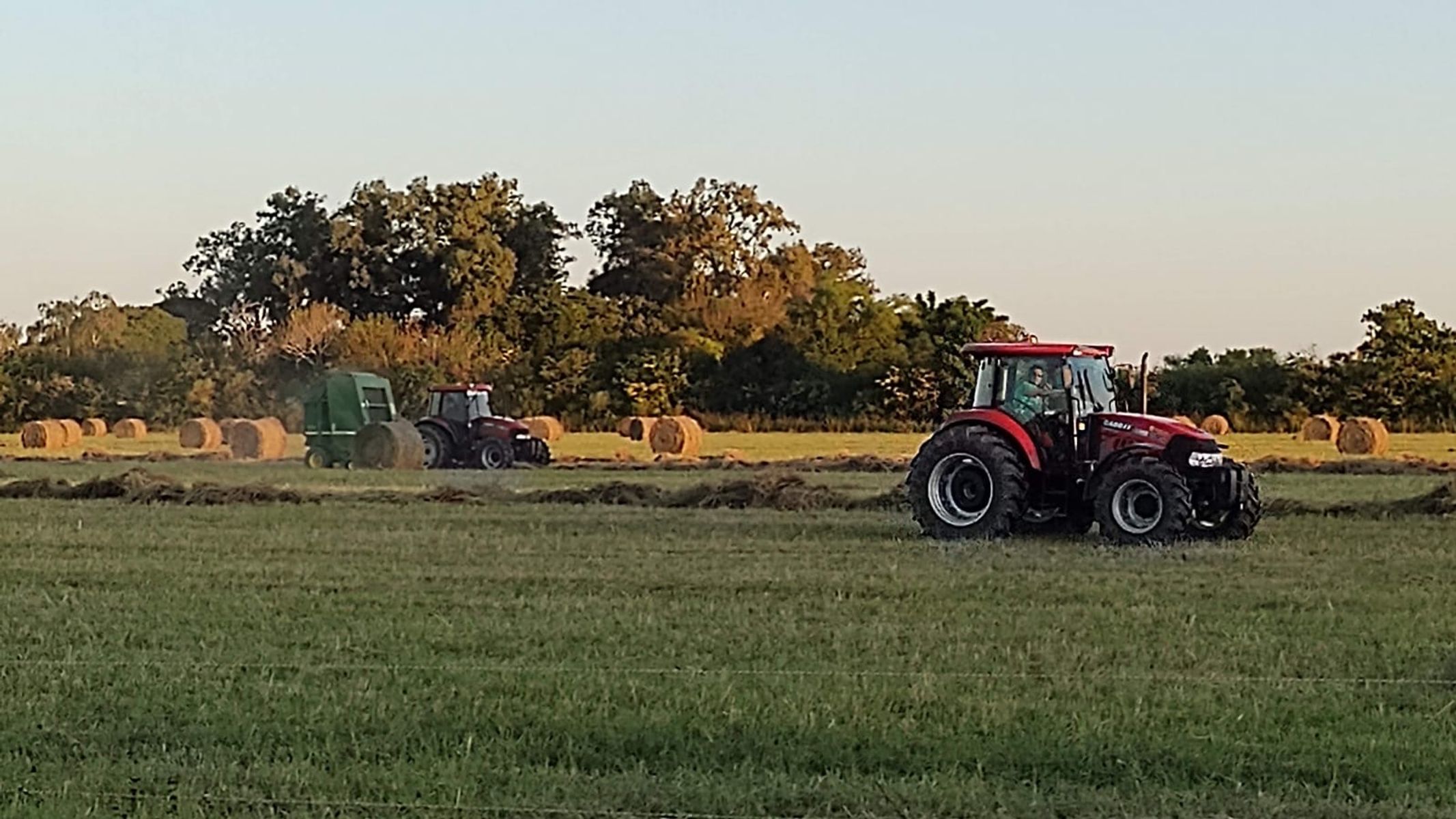 Quinta Rural con 15 Hectáreas Productivas - San Javier