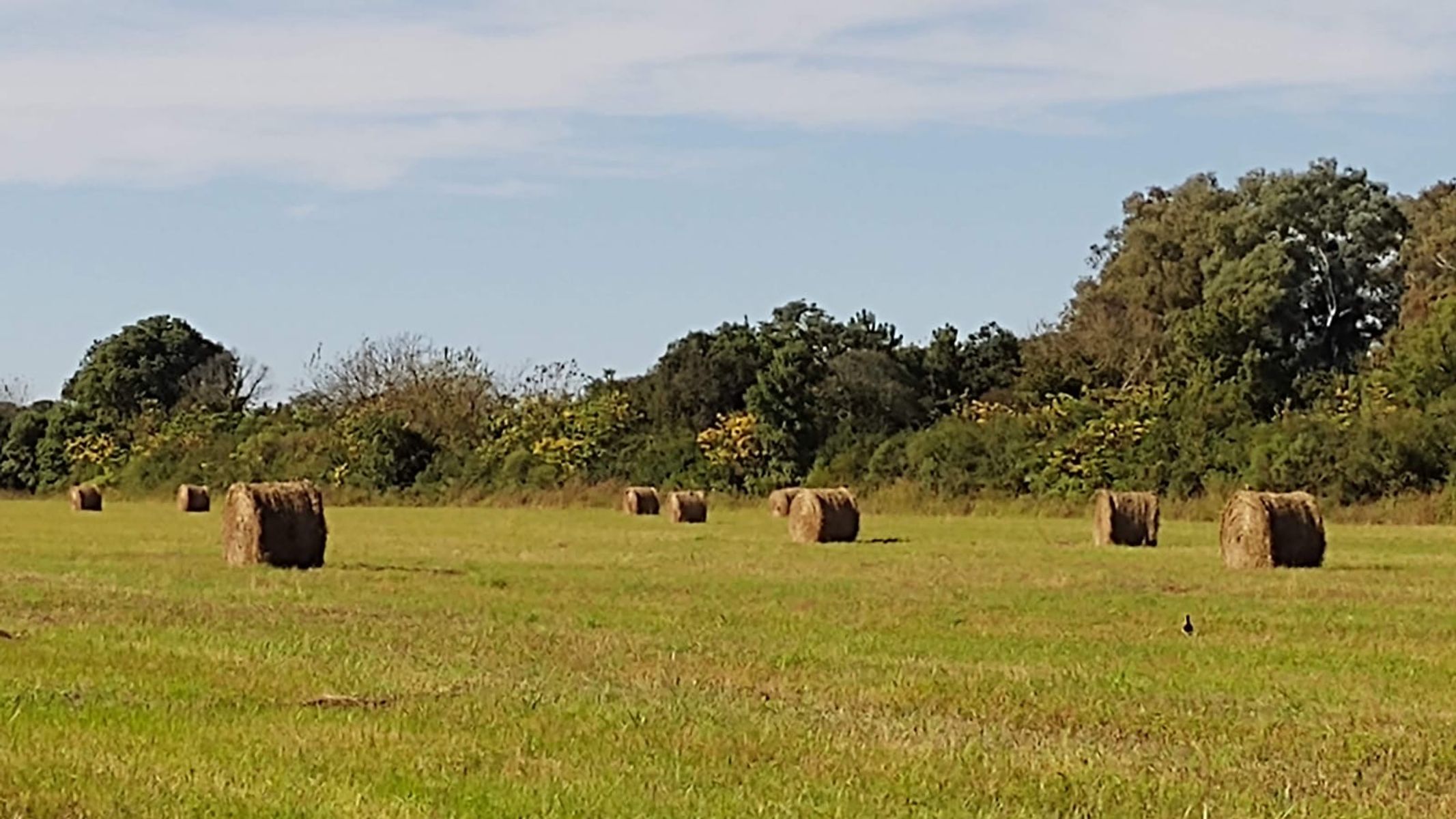 Zona Rural, San Javier · San Javier — foto 11