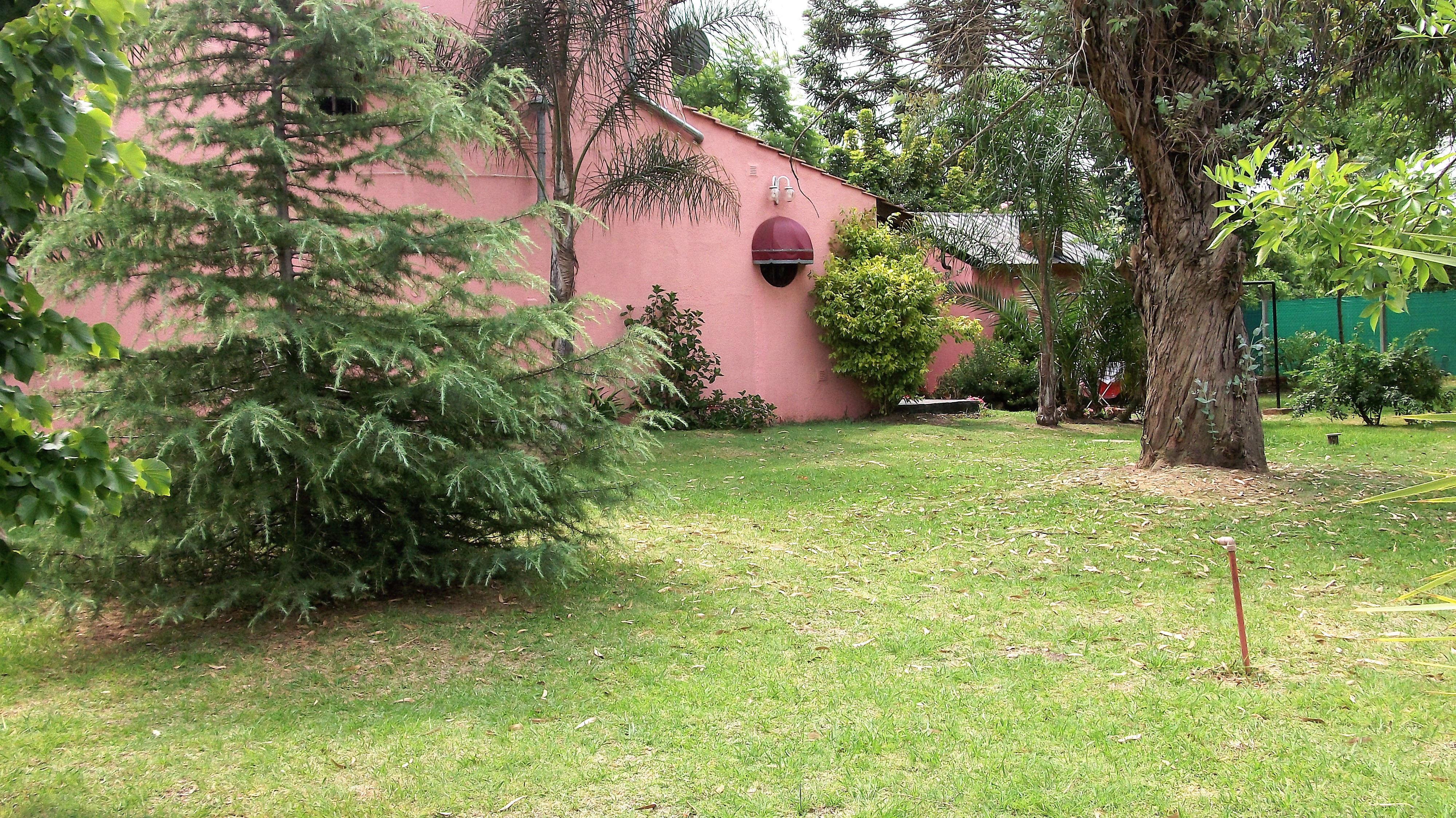 EINSTEIN · Hurlingham — foto 5