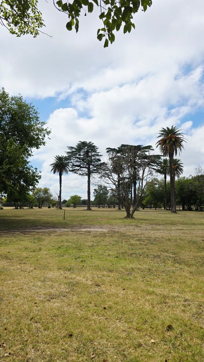TORQUINST · Almirante Brown — foto 8