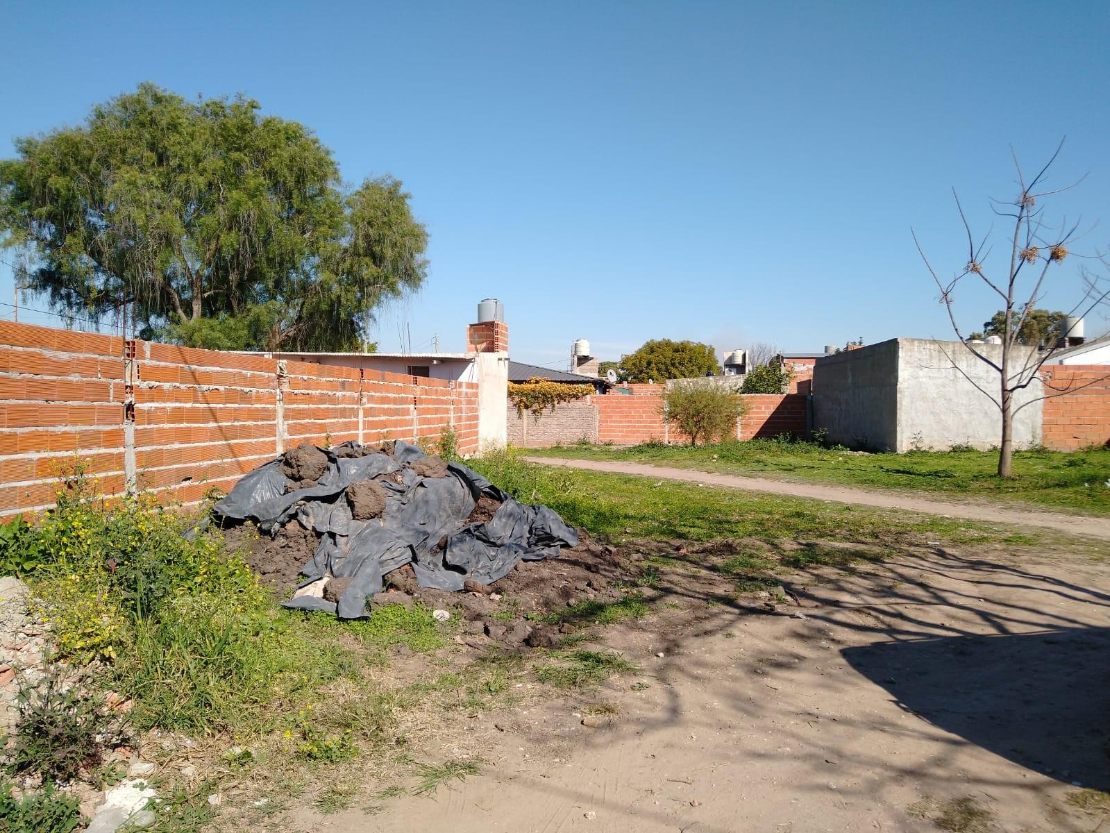 Alicia Krevisky · Paraná — foto 3