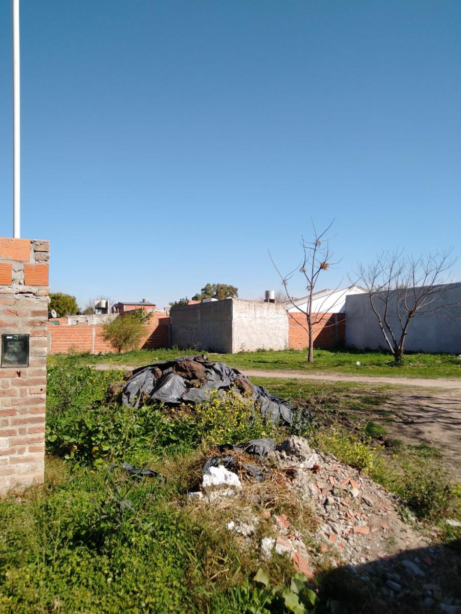 Alicia Krevisky · Paraná — foto 4