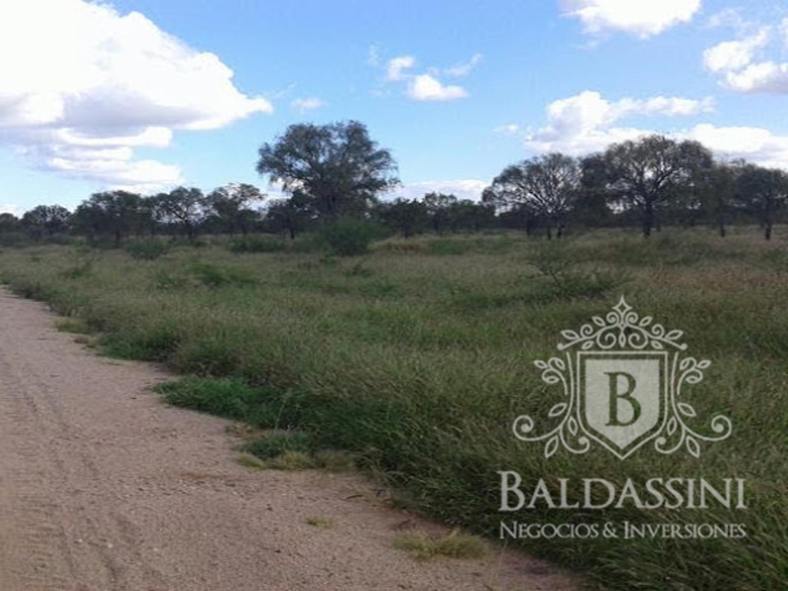 CAMPO A DESARROLLAR DE 4750 HAS SOBRE RUTA PROVINCIAL EN CHAMICAL - LA RIOJA