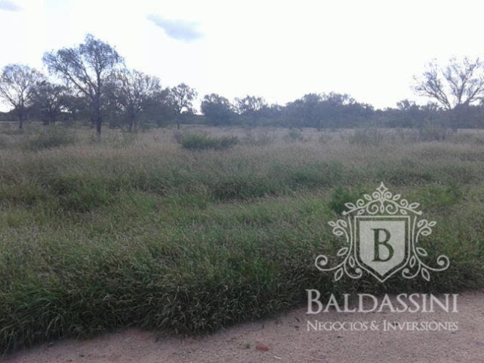 CAMPO DE 4750 HAS EN CHAMICAL · Chamical — foto 6