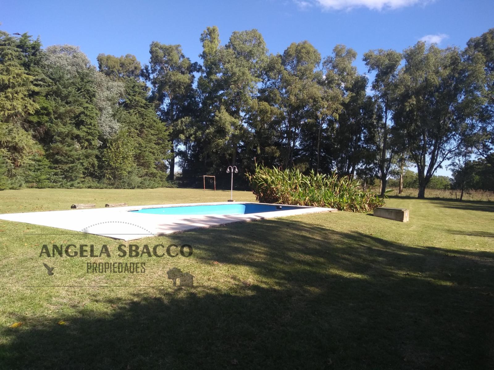 El Picaflor · Exaltacion De La Cruz — foto 4