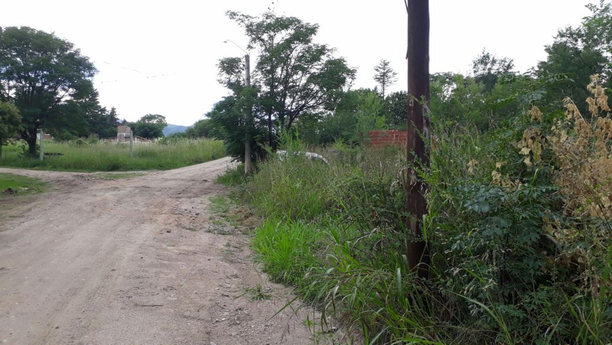 Nido de Zorsales · Punilla — foto 4