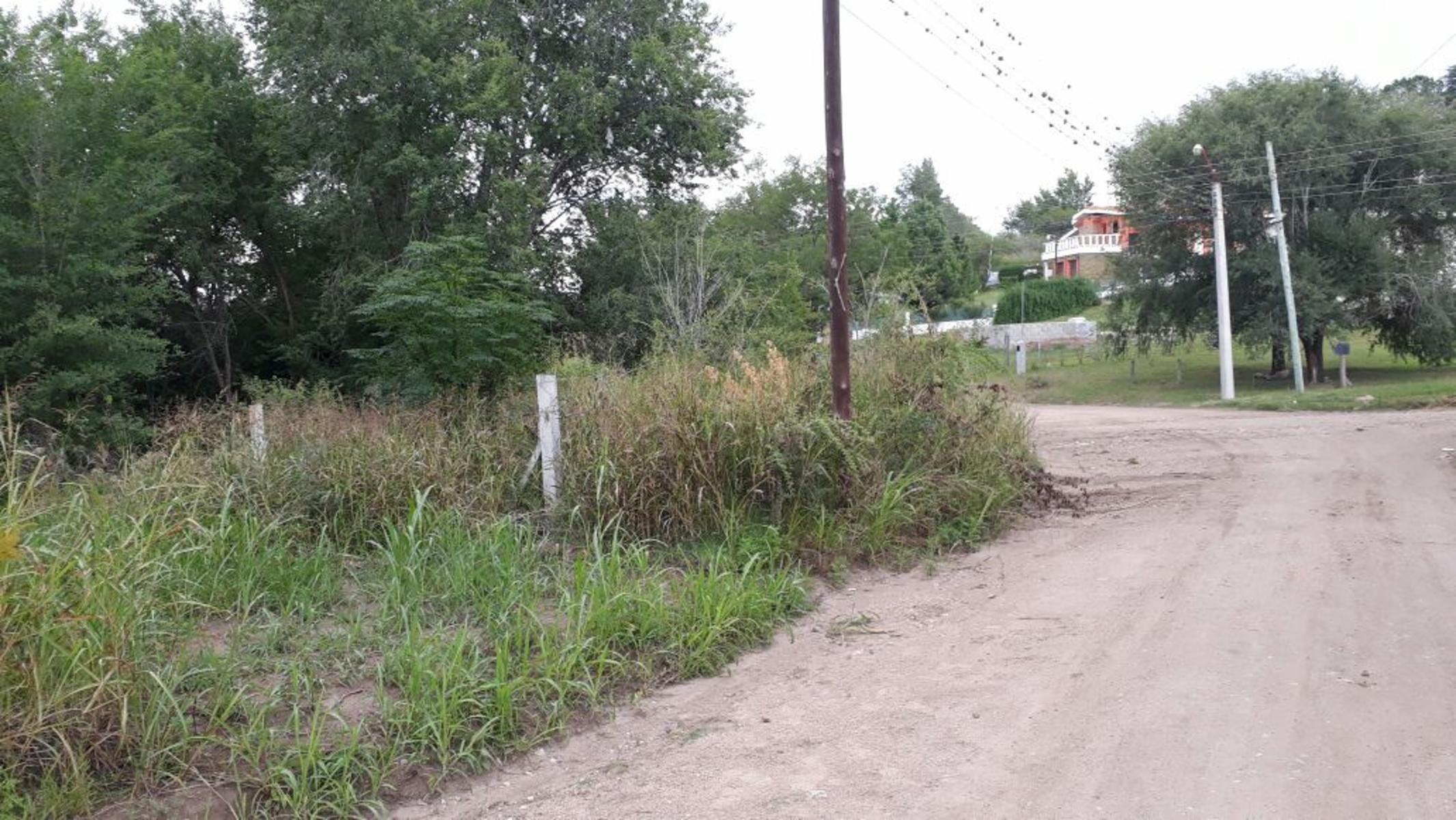 Nido de Zorsales · Punilla — foto 7
