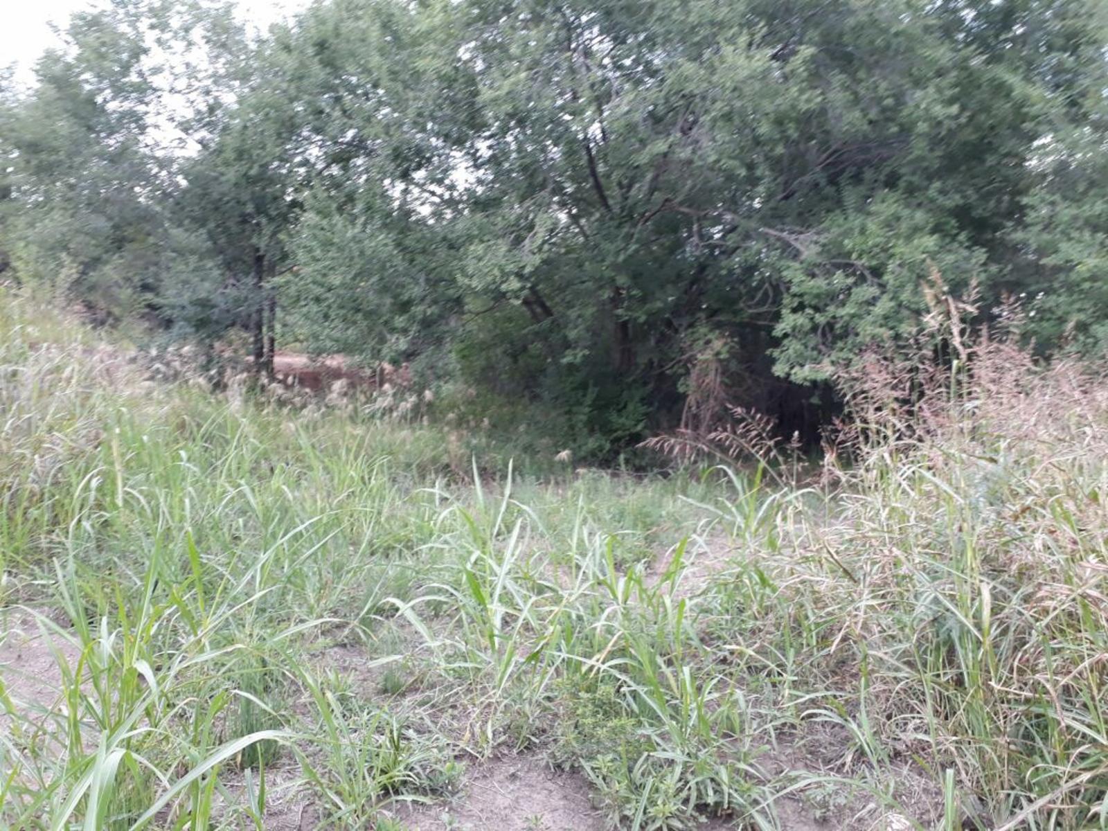 Nido de Zorsales · Punilla — foto 8