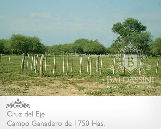 CAMPO GANADERO EN CRUZ DEL EJE - CÓRDOBA DE 1759 HAS. TOTALMENTE ARMADO  / MUY BUEN CAMPO