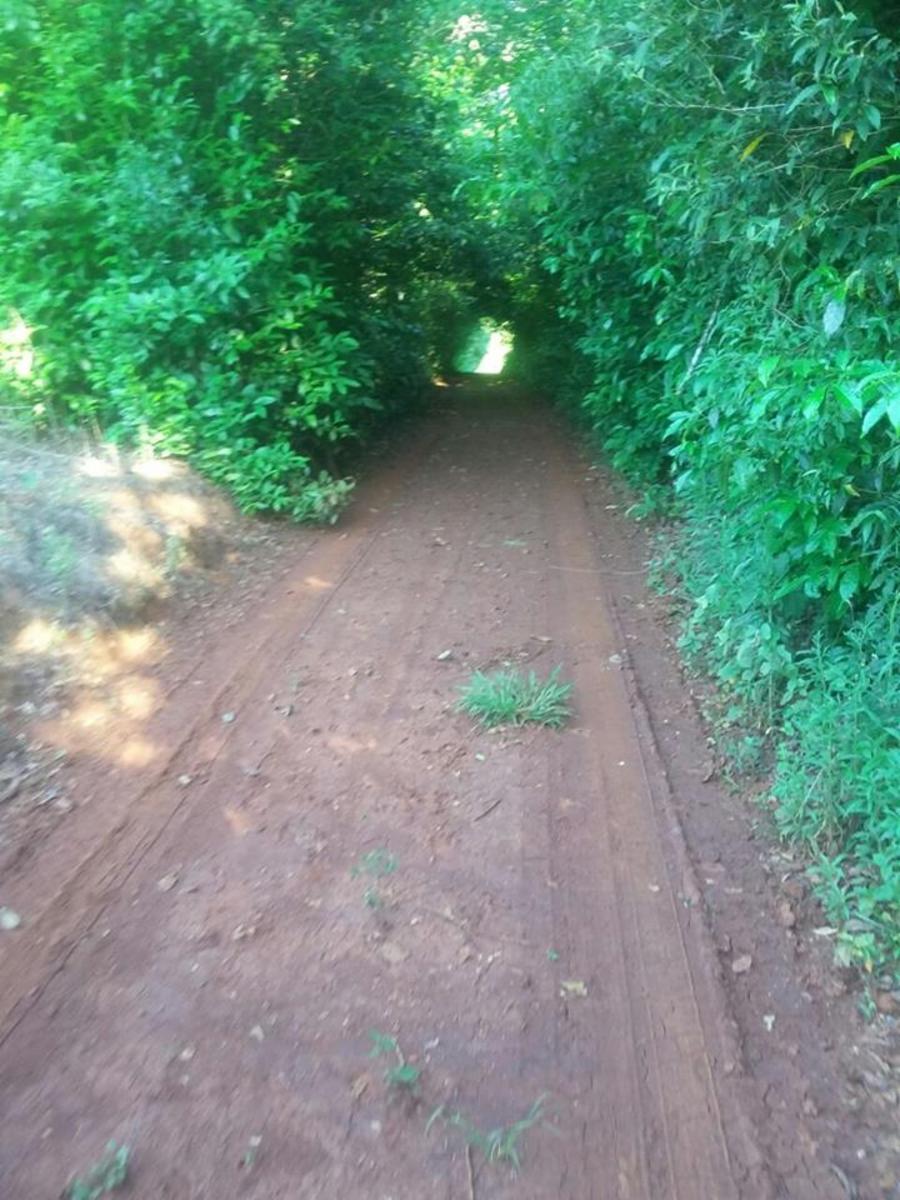 ---SOBRE RUTA 8--- A ALBA POSSE KM 21.. CAMPO GRANDE. · Veinticinco de Mayo — foto 9