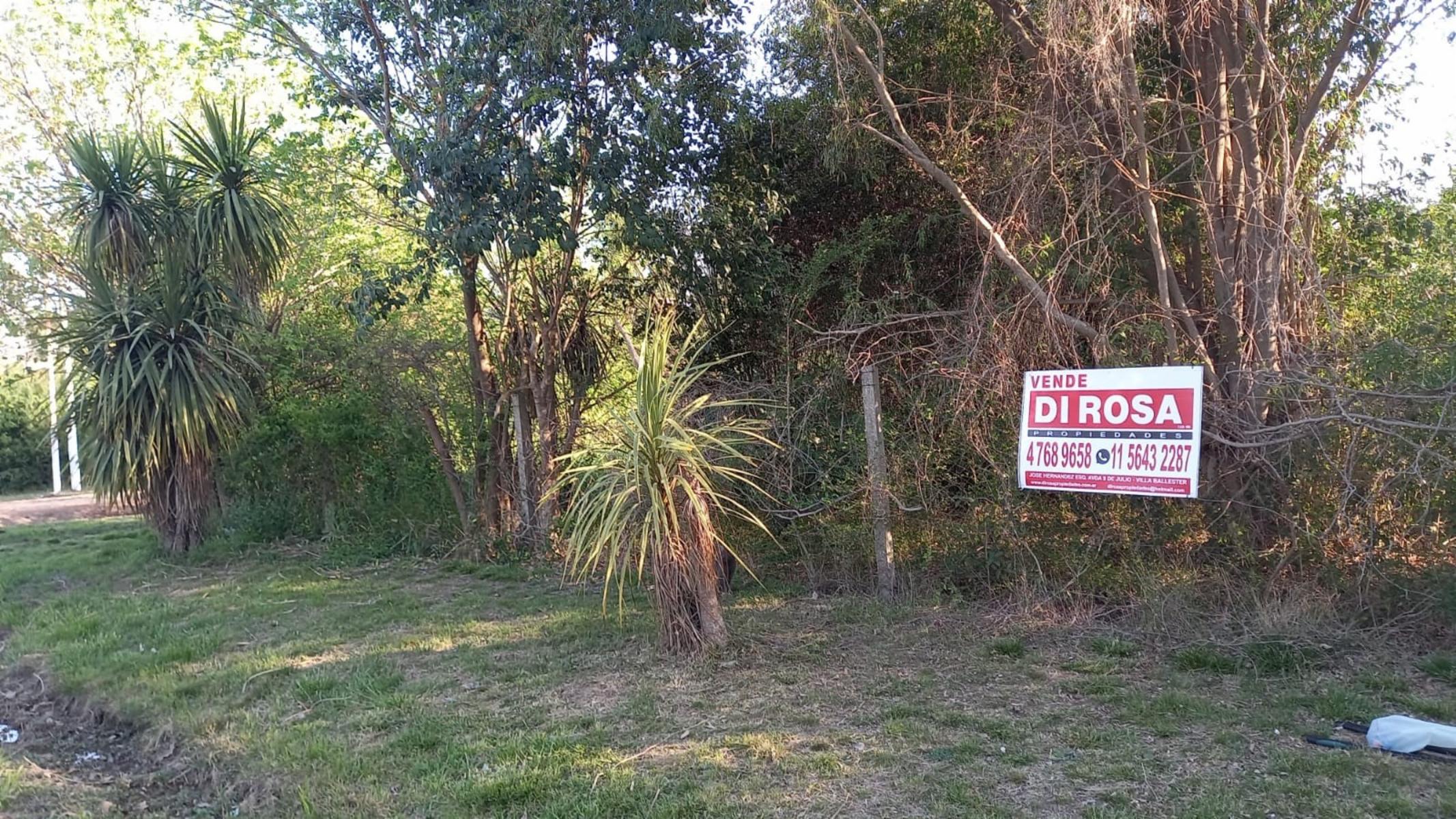 La Golondrina · Pilar — foto 5