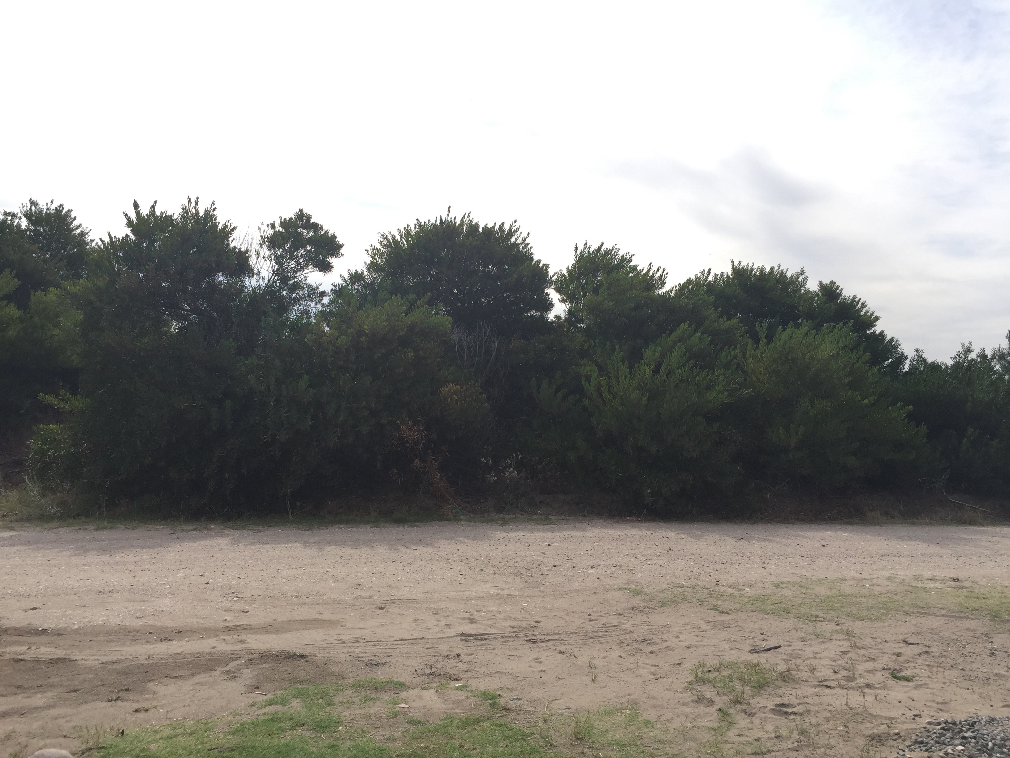 Av. Soldani 879 · Monte Hermoso — foto 3