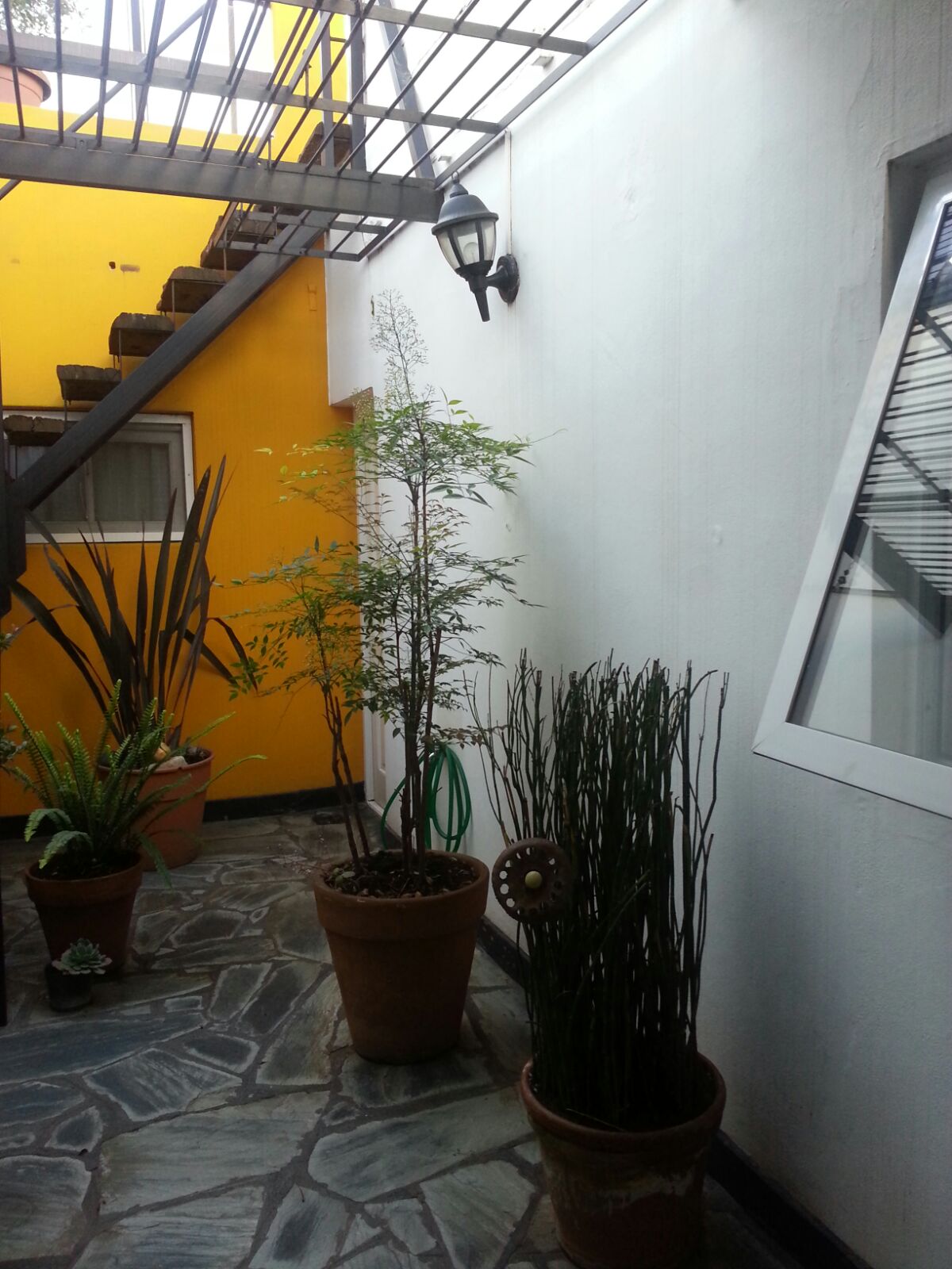 11 Nº 587 · Balcarce — foto 15