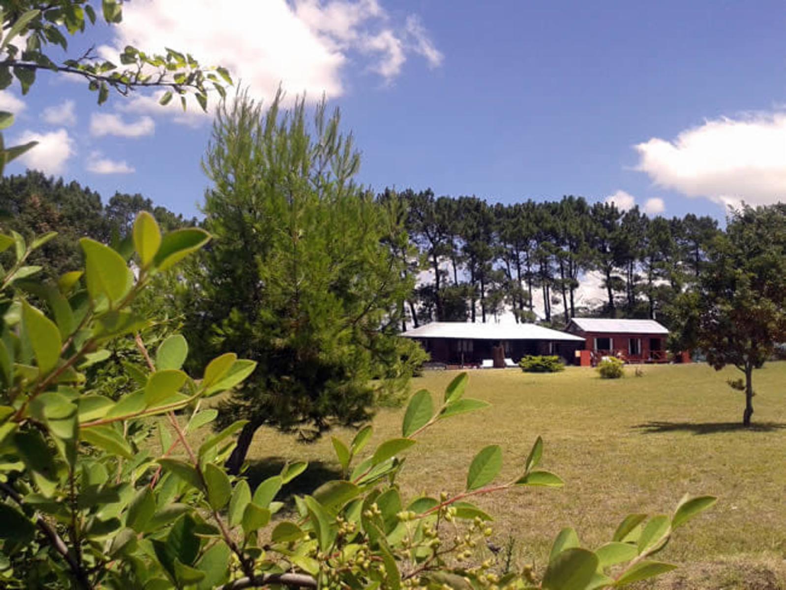 EL CENTINELA · Tandil — foto 5