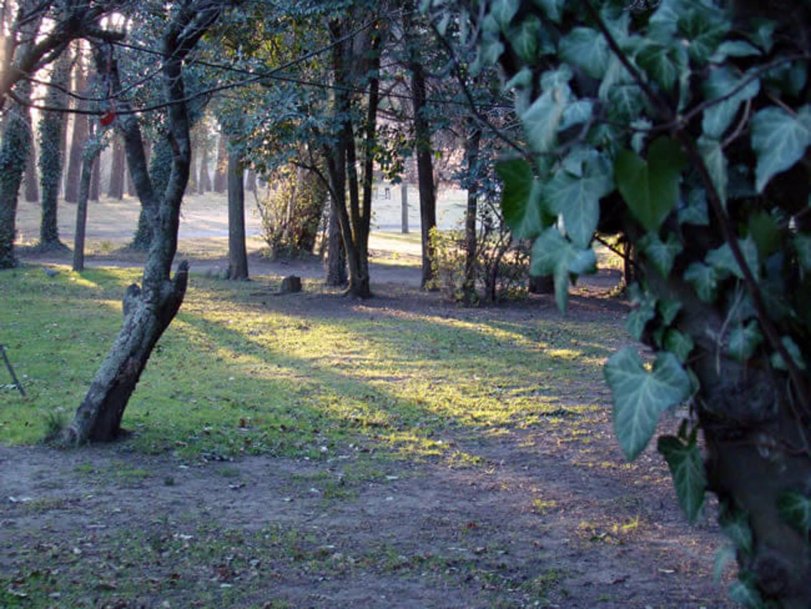 EL CENTINELA · Tandil — foto 8