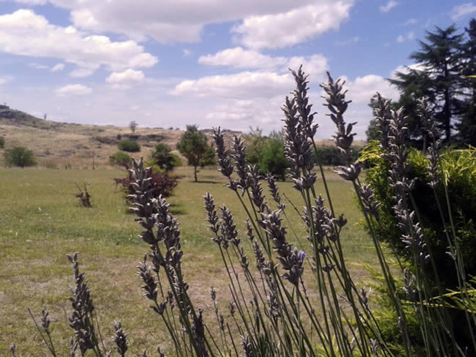 EL CENTINELA · Tandil — foto 10