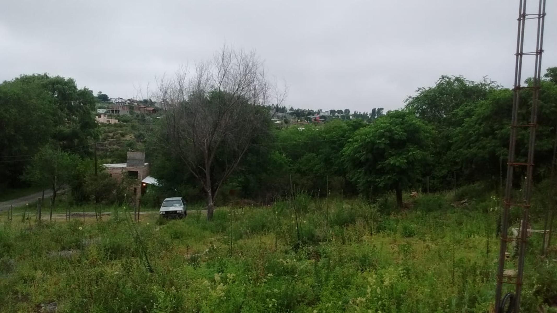 El zorzal · Punilla — foto 7